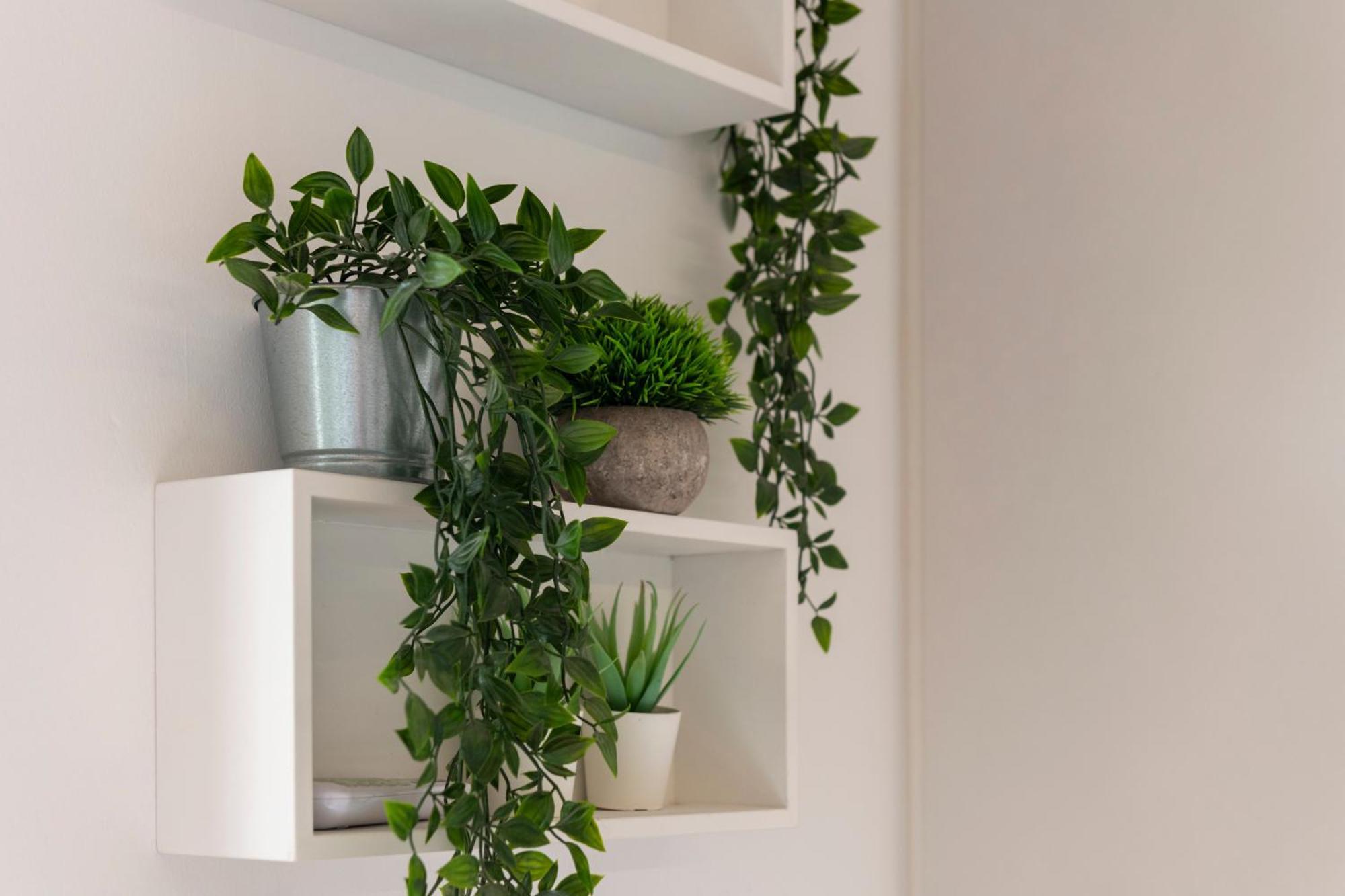 Villa Fenix Milano Eksteriør billede